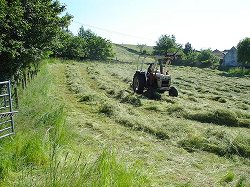 Haymaking - Paddock