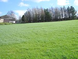 Barn & trees from the Paddock