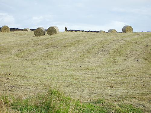 Baling - Big Field