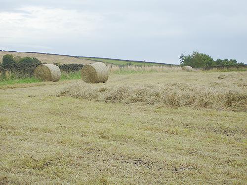Baling - Big Field
