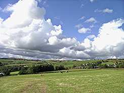 Big Field Looking North