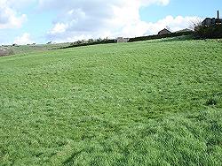 Bottom Field towards Paddock & Stables
