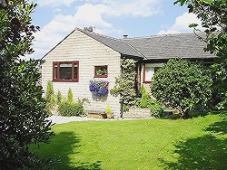 View of the House from the Front Lawn