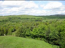 View north from Roundhill