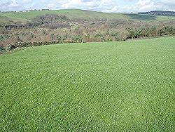 View towards Strinesdale