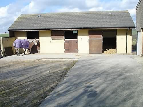 Stables