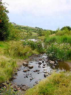 Strinesdale Country Park