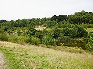 Strinesdale Country Park